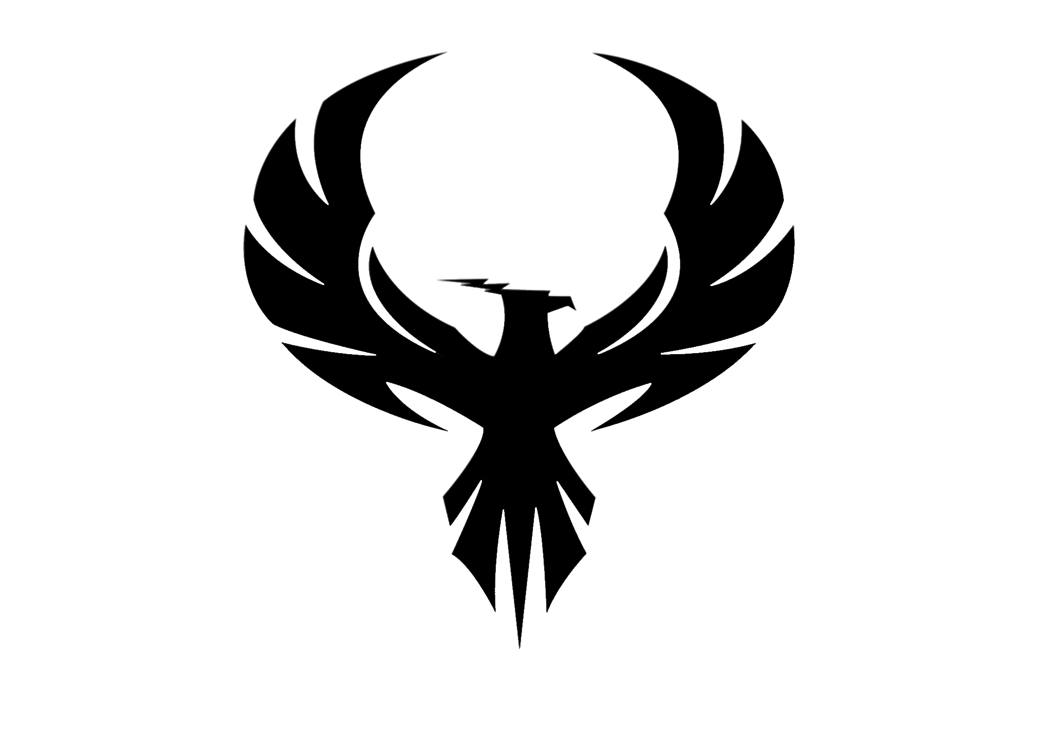 theroyalfenixfitness